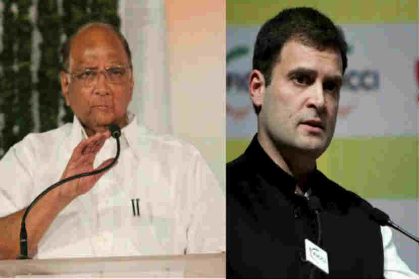 ‘पंतप्रधान पदाच्या शर्यतीत मी नाही’ या राहुल गांधींच्या वक्तव्यावर शरद पवार म्हणतात…