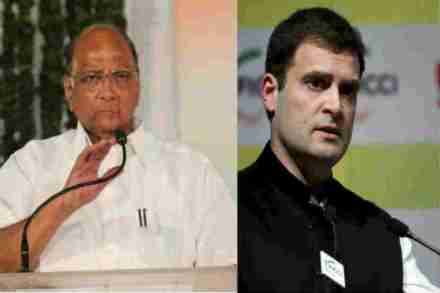 ‘पंतप्रधान पदाच्या शर्यतीत मी नाही’ या राहुल गांधींच्या वक्तव्यावर शरद पवार म्हणतात…