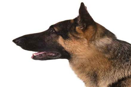 (संग्रहित छायाचित्र) (संग्रहित छायाचित्र)