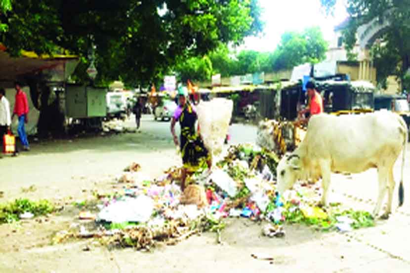 (संग्रहित छायाचित्र) (संग्रहित छायाचित्र)