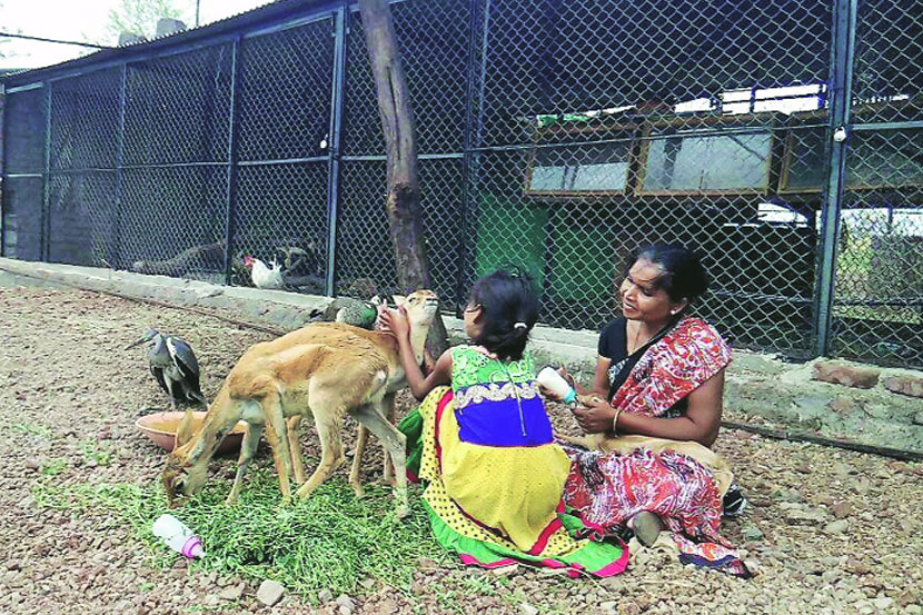 वन्यजीवांचे ‘माहेरघर’!