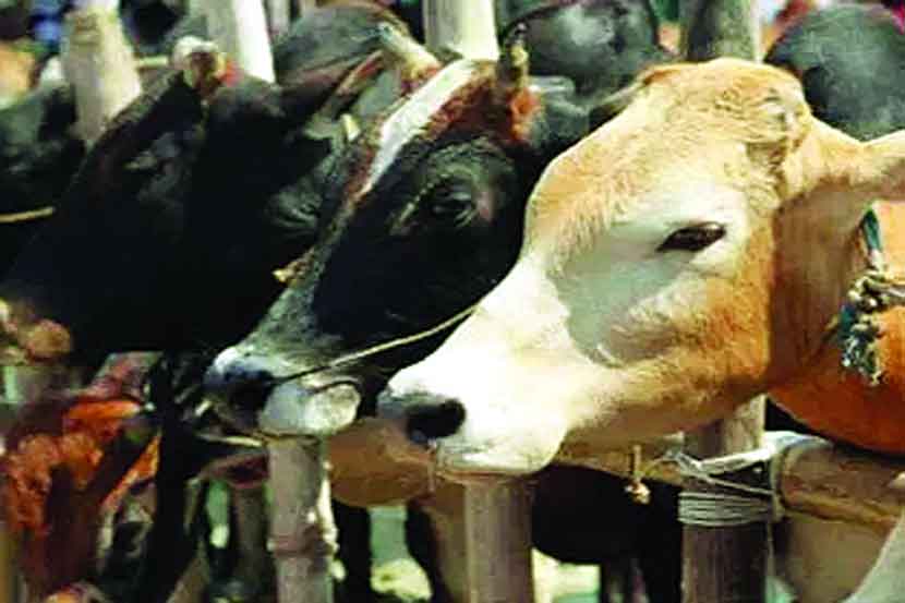(संग्रहित छायाचित्र)