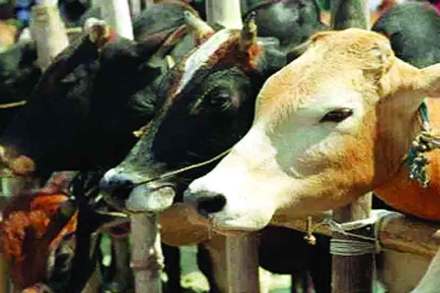 (संग्रहित छायाचित्र)