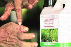 рдЧреНрд▓рд╛рдпрдлреЙрд╕реЗрдЯ рдмрдВрджреА рдкрд░реНрдпрд╛рд╡рд░рдгрд╡рд┐рд░реЛрдзреАрдЪ