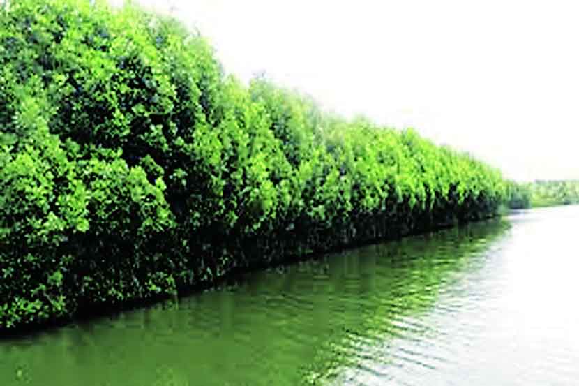 (संग्रहित छायाचित्र)