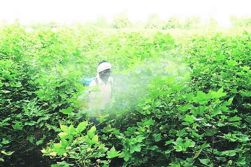 संग्रहित छायाचित्र) संग्रहित छायाचित्र)