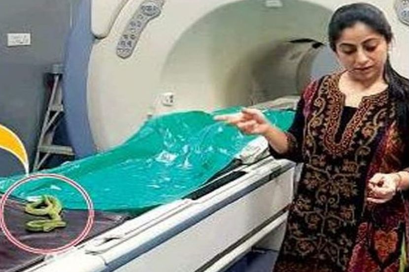 सौजन्य - टाइम्स ऑफ इंडिया