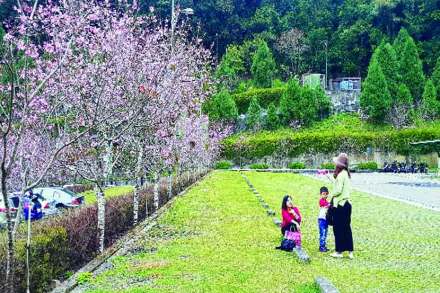 (संग्रहित छायाचित्र)