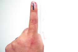 मतदारांपुढील नमुनेदार पेच