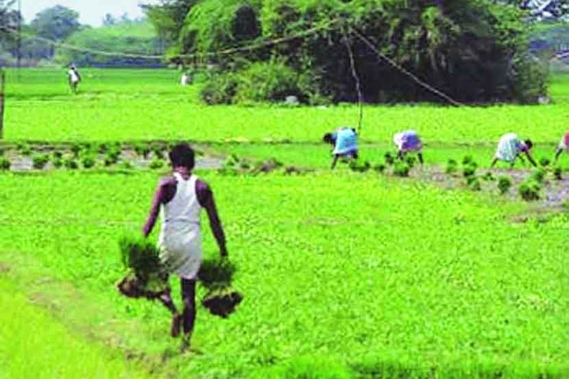 किमान हमीभाव केवळ कागदावरच