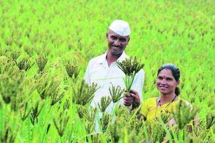 आरोग्यदायी अन्नाची लोकचळवळ