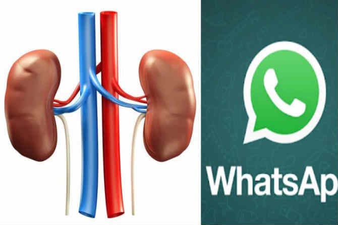 व्हॉटसअॅपची भुरळ ! किडनी विकून त्याला मिळवायचे होते दिड कोटी…