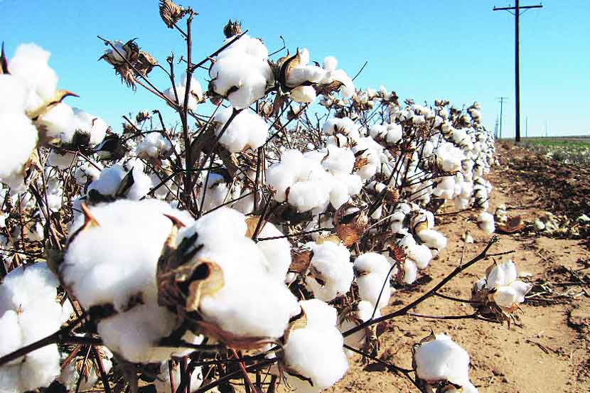 (संग्रहित छायाचित्र) (संग्रहित छायाचित्र)