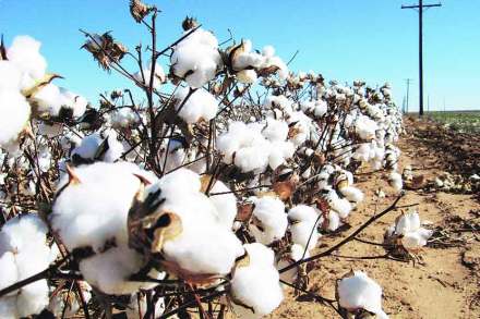 (संग्रहित छायाचित्र) (संग्रहित छायाचित्र)