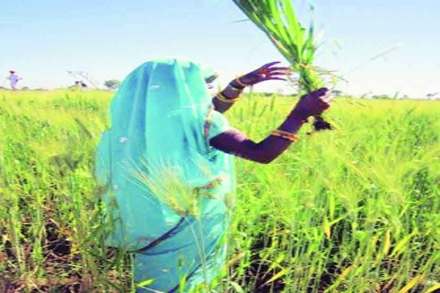 (संग्रहित छायाचित्र)