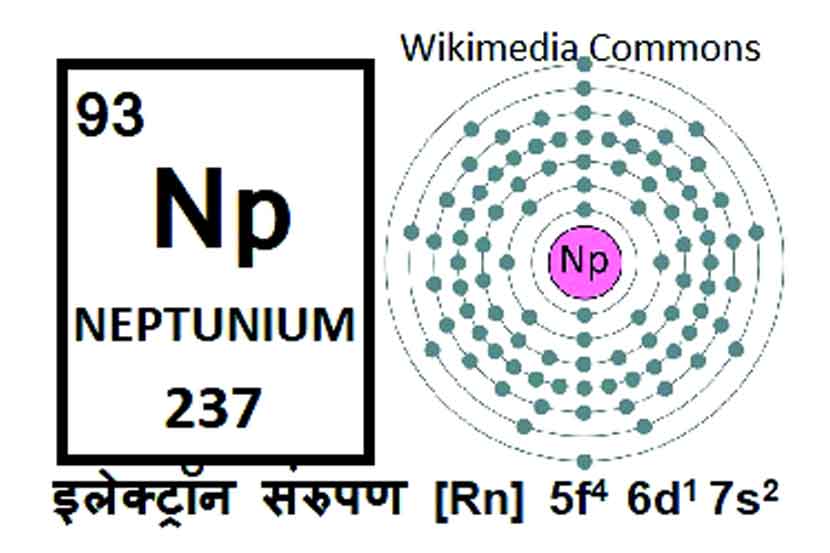 नेपच्युनिअम