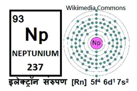 नेपच्युनिअम