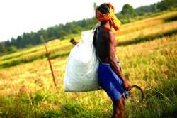 दुष्काळग्रस्तांना दिलासा कसा मिळणार?