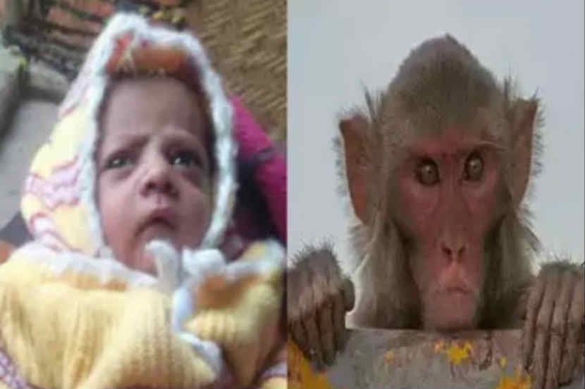 सौजन्य - टाइम्स ऑफ इंडिया 