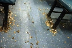 Viral Post: हा कचरा काँग्रेस किंवा भाजपाने केलेला नाही तर…