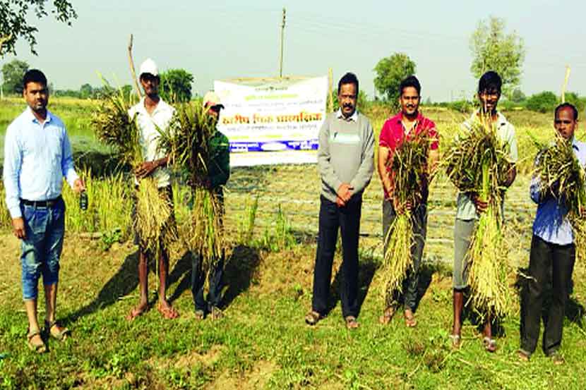 рдХрд╛рд│реЯрд╛ рд╕рд╛рдЦрд░рд╡рд┐рд░рд╣рд┐рдд рддрд╛рдВрджрд│рд╛рдЪреНрдпрд╛ рд╢реЗрддреАрдЪреА рдкрд╛рд╣рдгреА рдХрд░рддрд╛рдВрдирд╛ рдХреГрд╖реА рд╡рд┐рднрд╛рдЧрд╛рдЪреЗ рдЕрдзрд┐рдХрд╛рд░реА. рдХрд╛рд│реЯрд╛ рд╕рд╛рдЦрд░рд╡рд┐рд░рд╣рд┐рдд рддрд╛рдВрджрд│рд╛рдЪреНрдпрд╛ рд╢реЗрддреАрдЪреА рдкрд╛рд╣рдгреА рдХрд░рддрд╛рдВрдирд╛ рдХреГрд╖реА рд╡рд┐рднрд╛рдЧрд╛рдЪреЗ рдЕрдзрд┐рдХрд╛рд░реА.