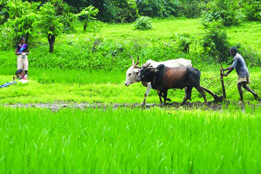 संपत्तीचे वाटप न्याय्य पद्धतीने करणे हा खरा प्रश्न