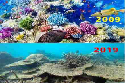 #10yearschallange: हिटमॅन रोहित म्हणतो, या आव्हानाची काळजी करणे गरजेचे