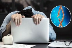 रात्रपाळीमुळे डीएनएची रचना बदलते, गंभीर आजारांची शक्यता वाढते