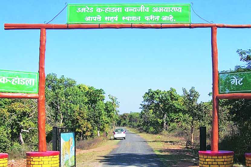 (संग्रहित छायाचित्र)