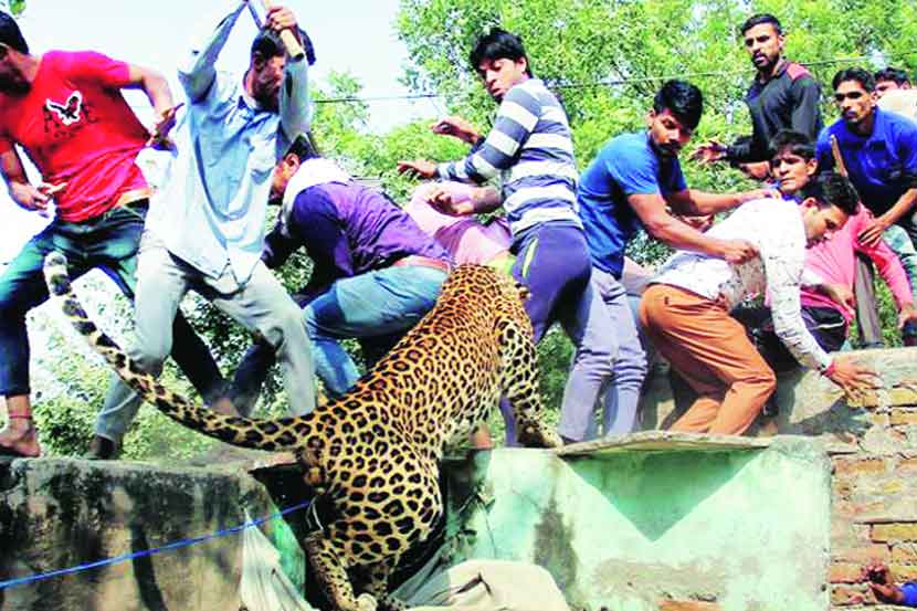 संघर्ष एकतर्फी नाही