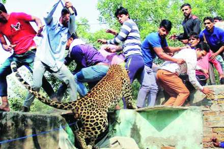संघर्ष एकतर्फी नाही