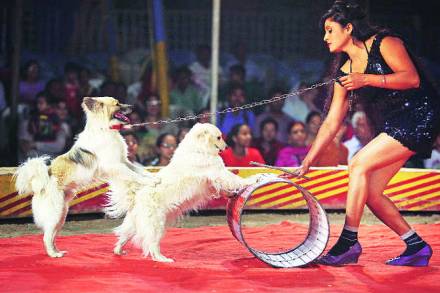 भारतात सर्कस हा व्यवसाय जवळपास १३० वर्षें जुना आहे. भारतात सर्कस हा व्यवसाय जवळपास १३० वर्षें जुना आहे.