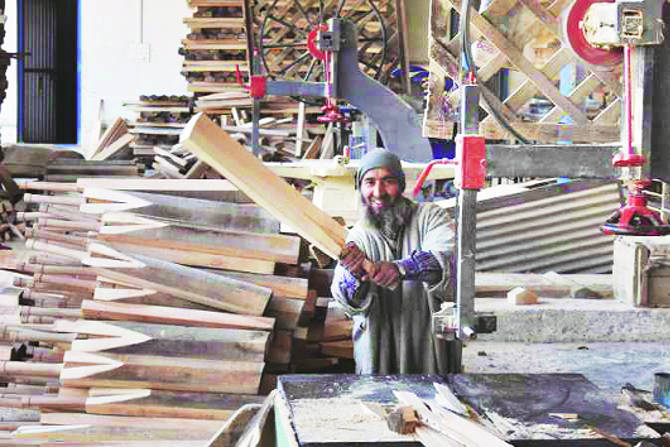 рдЬрдореНрдореВ-рдХрд╛рд╢реНрдореАрд░ рдЬрд╕реЗ рд╕рдлрд░рдЪрдВрдж, рдЕрдХреНрд░реЛрдб рдЖрдгрд┐ рдХреЗрд╢рд░рд╛рд╕рд╛рдареА рдкреНрд░рд╕рд┐рджреНрдз рдЖрд╣реЗ рддрд╕реЗрдЪ рддреЗ рд╡рд┐рд▓реЛ рдирд╛рд╡рд╛рдЪреНрдпрд╛ рдЭрд╛рдбрд╛рдВрд╕рд╛рдареАрд╣реА рдкреНрд░рд╕рд┐рджреНрдз рдЖрд╣реЗ. рдпрд╛рдЪ рд╡рд┐рд▓реЛ рд╡реГрдХреНрд╖рд╛рдВрдЪреНрдпрд╛ рд▓рд╛рдХрдбрд╛рдкрд╛рд╕реВрди рдХреНрд░рд┐рдХреЗрдЯрдЪреНрдпрд╛ рдмреЕрдЯ рддрдпрд╛рд░ рдХреЗрд▓реНрдпрд╛ рдЬрд╛рддрд╛рдд. рдЬрдореНрдореВ-рдХрд╛рд╢реНрдореАрд░ рдЬрд╕реЗ рд╕рдлрд░рдЪрдВрдж, рдЕрдХреНрд░реЛрдб рдЖрдгрд┐ рдХреЗрд╢рд░рд╛рд╕рд╛рдареА рдкреНрд░рд╕рд┐рджреНрдз рдЖрд╣реЗ рддрд╕реЗрдЪ рддреЗ рд╡рд┐рд▓реЛ рдирд╛рд╡рд╛рдЪреНрдпрд╛ рдЭрд╛рдбрд╛рдВрд╕рд╛рдареАрд╣реА рдкреНрд░рд╕рд┐рджреНрдз рдЖрд╣реЗ. рдпрд╛рдЪ рд╡рд┐рд▓реЛ рд╡реГрдХреНрд╖рд╛рдВрдЪреНрдпрд╛ рд▓рд╛рдХрдбрд╛рдкрд╛рд╕реВрди рдХреНрд░рд┐рдХреЗрдЯрдЪреНрдпрд╛ рдмреЕрдЯ рддрдпрд╛рд░ рдХреЗрд▓реНрдпрд╛ рдЬрд╛рддрд╛рдд.