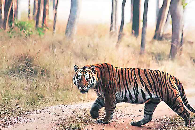 प्रतिकात्मक छायाचित्र