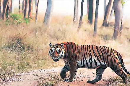 प्रतिकात्मक छायाचित्र