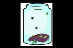 बायोजेनिसीस