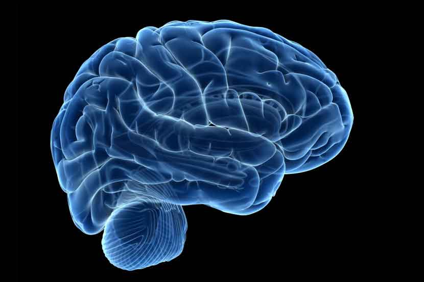 सुपीक निओ कॉर्टेक्स सुपीक निओ कॉर्टेक्स