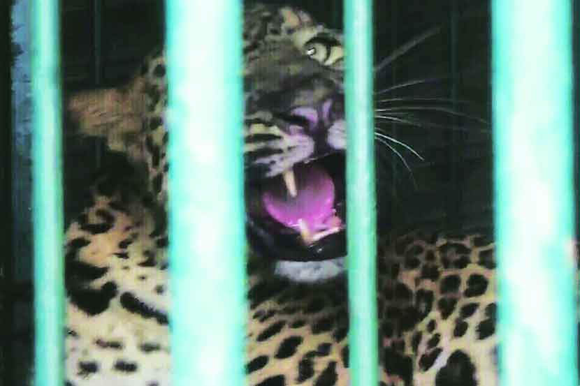 (рд╕рдВрдЧреНрд░рд╣рд┐рдд рдЫрд╛рдпрд╛рдЪрд┐рддреНрд░) (рд╕рдВрдЧреНрд░рд╣рд┐рдд рдЫрд╛рдпрд╛рдЪрд┐рддреНрд░)