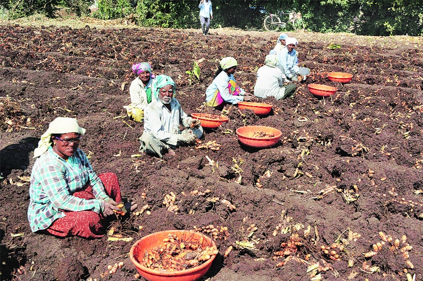 Budget 2019 : मते मिळविण्यासाठी मोदी सरकारचा केविलवाणा प्रयत्न