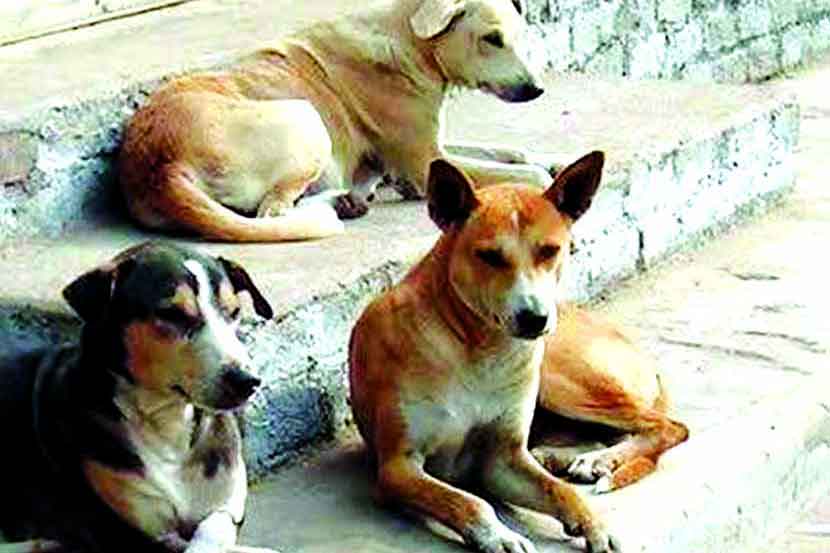 (संग्रहित छायाचित्र) (संग्रहित छायाचित्र)