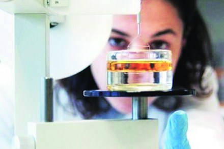 संगणक प्रगतीने समतोल