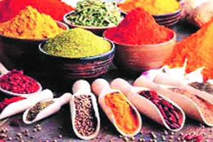 (संग्रहित छायाचित्र)