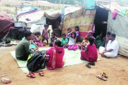 शिक्षण त्यांच्यासाठी नाहीच