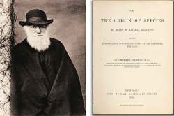 कुतूहल : डार्विनचा उत्क्रांतीवाद