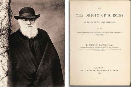 (संग्रहित छायाचित्र)