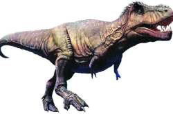 कुतूहल : पक्ष्यांचे पूर्वज