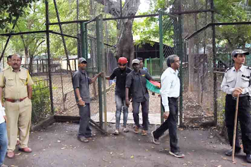 केंद्रीय प्राणिसंग्रहालय प्राधिकरणाने काढलेल्या मान्यतेच्या पाश्र्वभूमीवर या खात्याचे सचिव सी.के. मिश्रा यांच्यासमोर सोमवारी सुनावणी झाली.