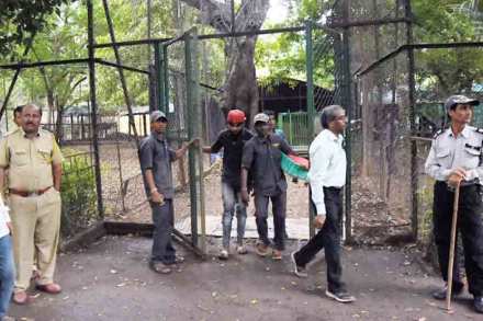 केंद्रीय प्राणिसंग्रहालय प्राधिकरणाने काढलेल्या मान्यतेच्या पाश्र्वभूमीवर या खात्याचे सचिव सी.के. मिश्रा यांच्यासमोर सोमवारी सुनावणी झाली.