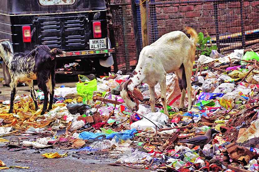 पिंपरी-चिंचवडमध्ये अनेक ठिकाणी असे अस्वच्छतेचे दर्शन घडते.