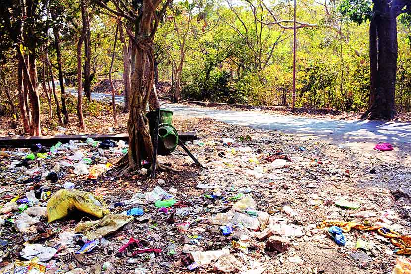येऊर गावातील एका नाल्याजवळ परिसरातील मांसविक्रेत्यांनी फेकून दिलेले मांस व हाडे यांवर ताव मारण्यासाठी एक बिबटय़ा नियमितपणे दर्शन देऊ लागला आहे.